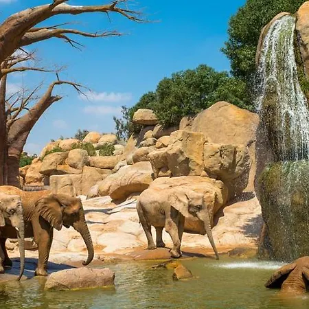 بيت ضيافة Cama Del Mar فالنسيا